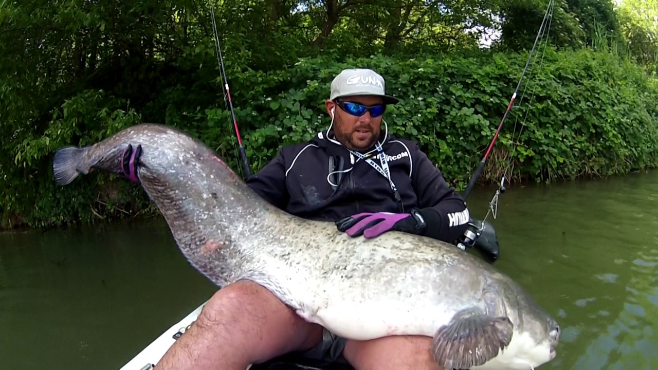 La Traque du Silure en kayak !!!