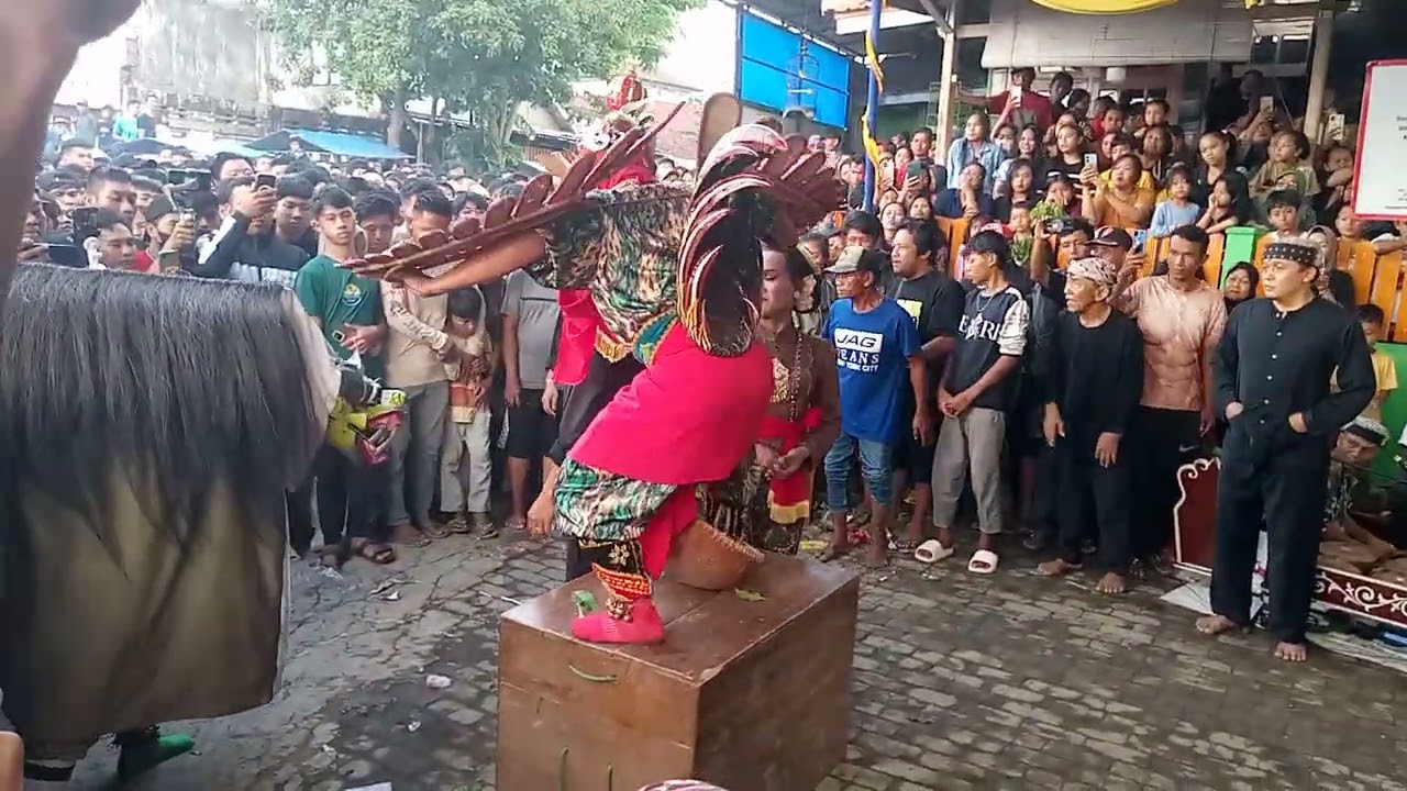 Live macan-macanan Kresno Budoyo kemiren Banyuwangi live kemiren