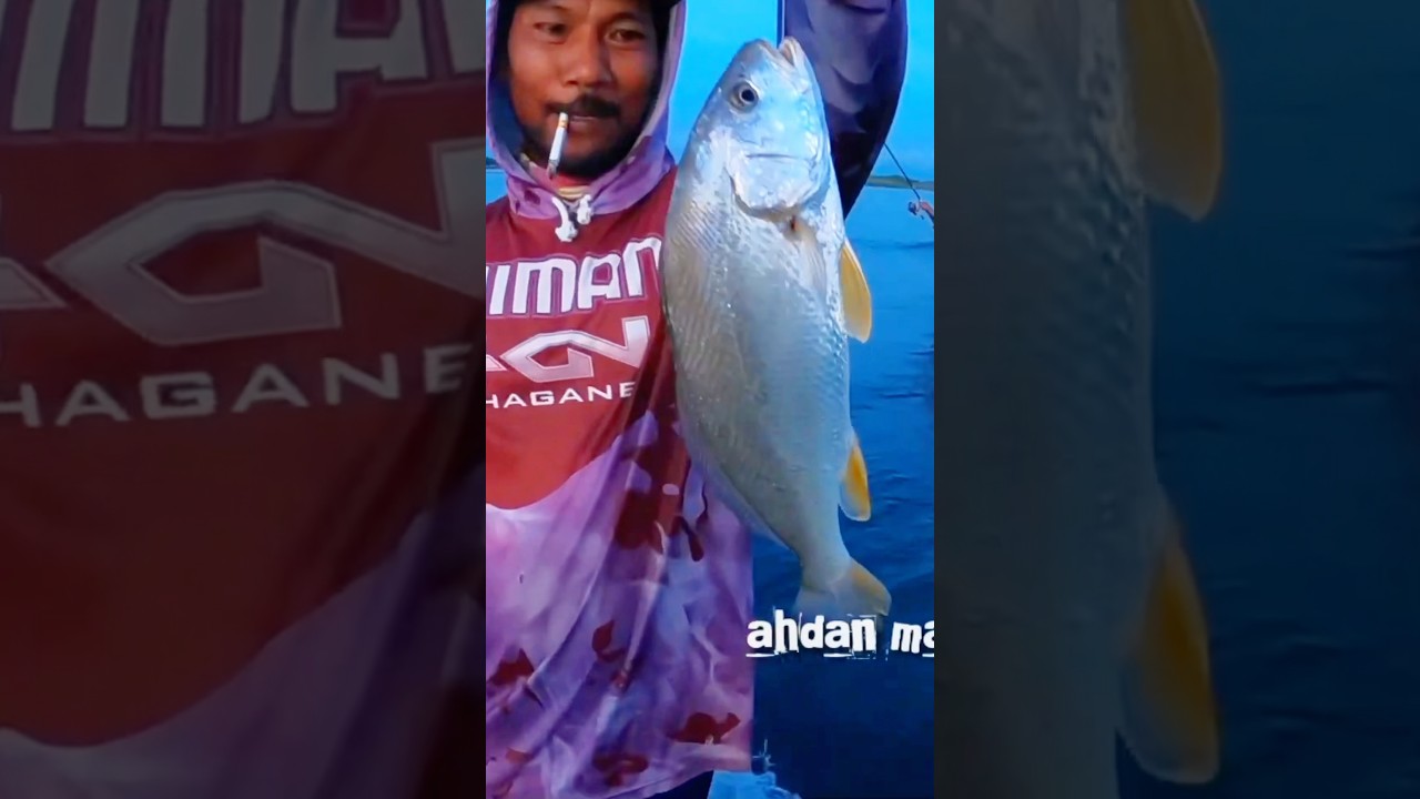 Mancing kakap cina di sarang buaya 