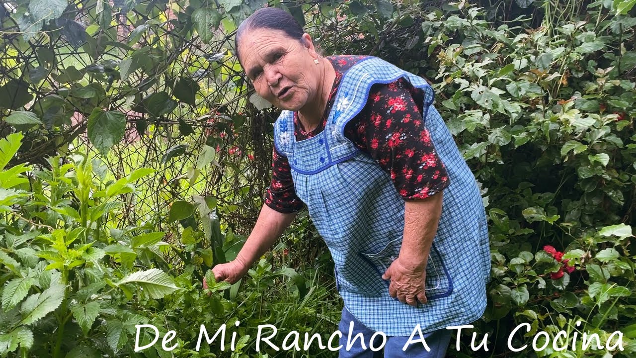 Albóndigas De Masa, Ya las Probaste?  De Mi Rancho A Tu Cocina
