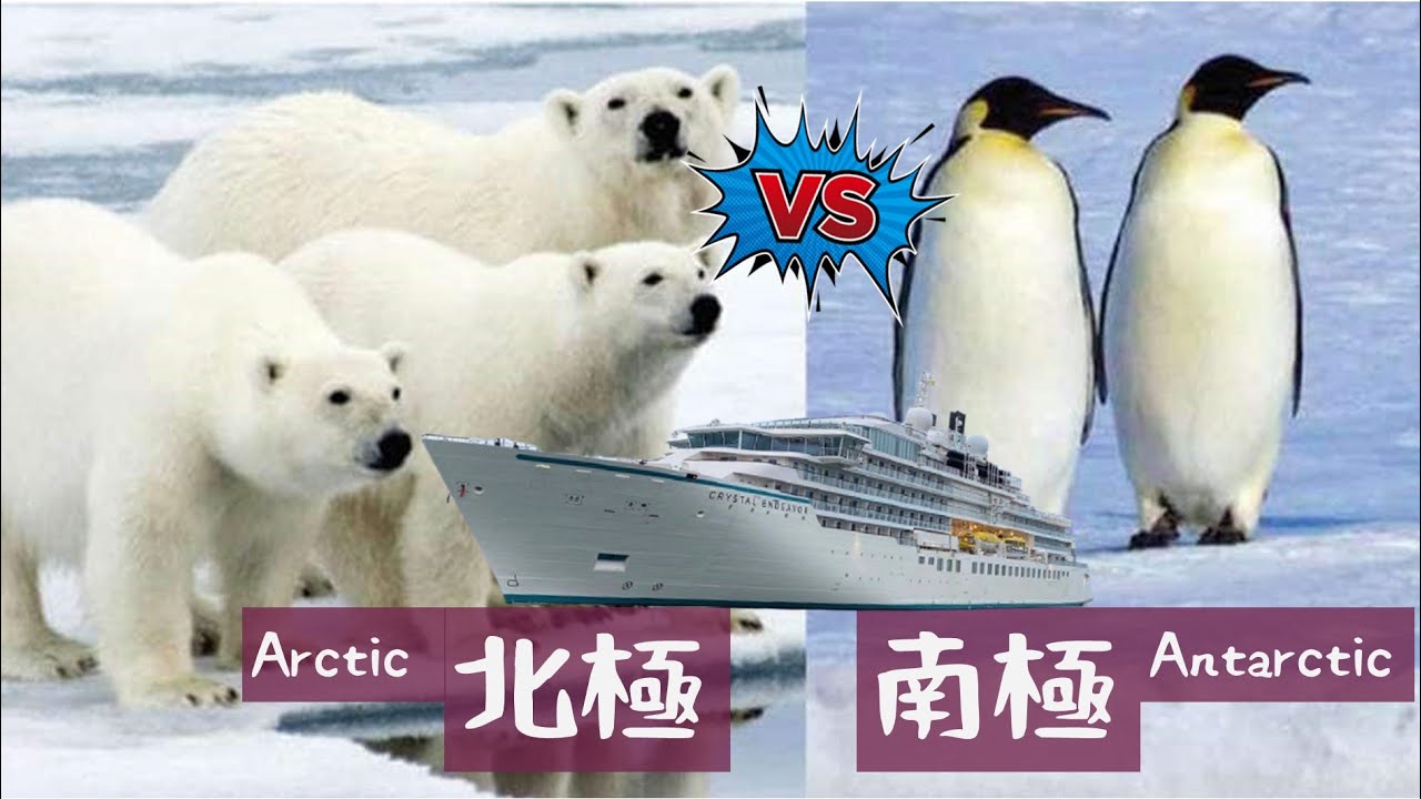 從郵輪講到了南北極~~~ Crystal Endeavor from Antarctica to  Arctic  English Subtitles
