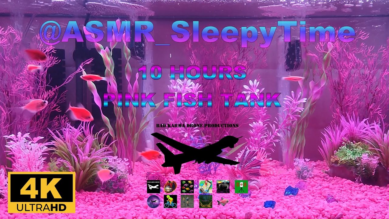 10 Hours 4K - Pink Fish Tank (no music, just the bubbles).