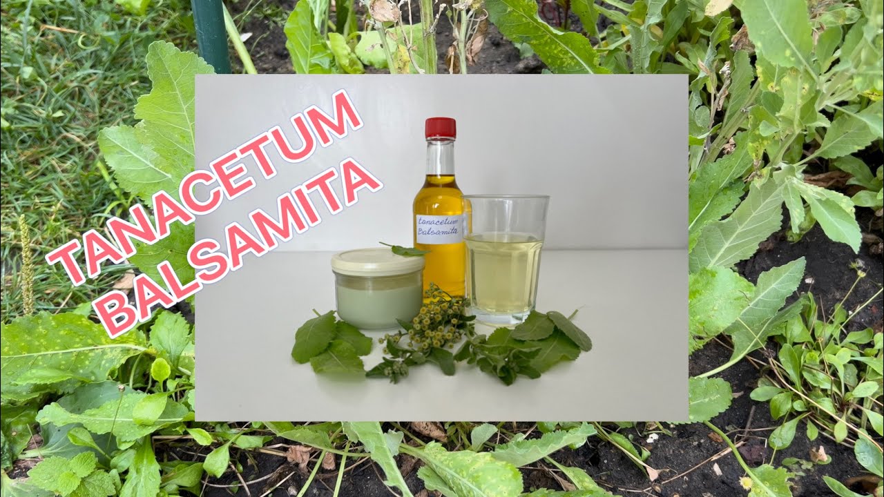 Kaloper : Recepti ( drugi deo )