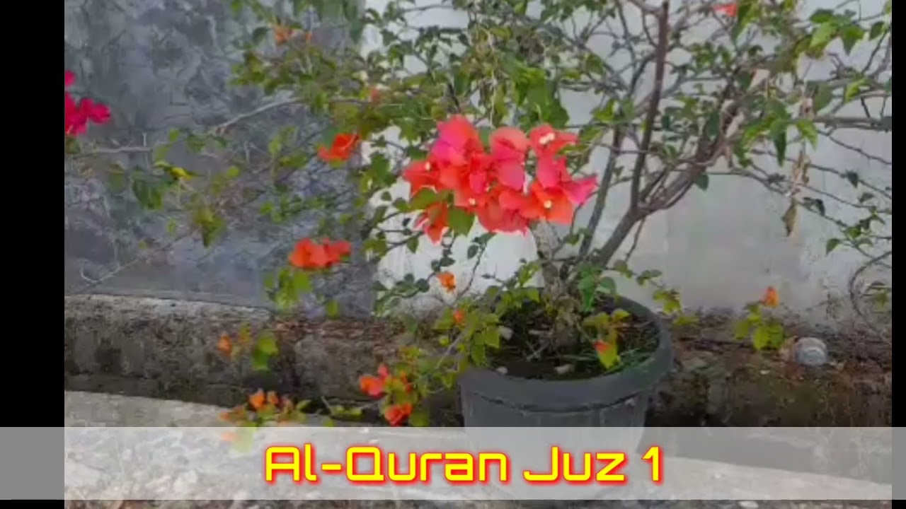 Al Qur'an JUZ 1  Murottal Al-Quran Merdu