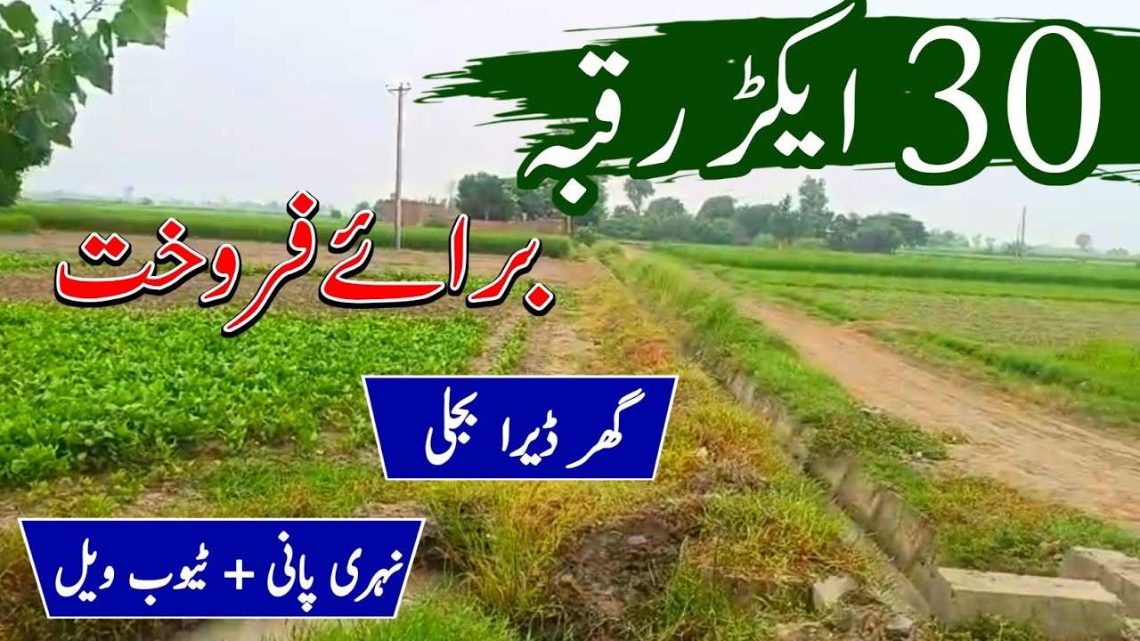 30 Acar Land for sale | Agriculture Land for sale in Punjab Pakistan | Episode 60