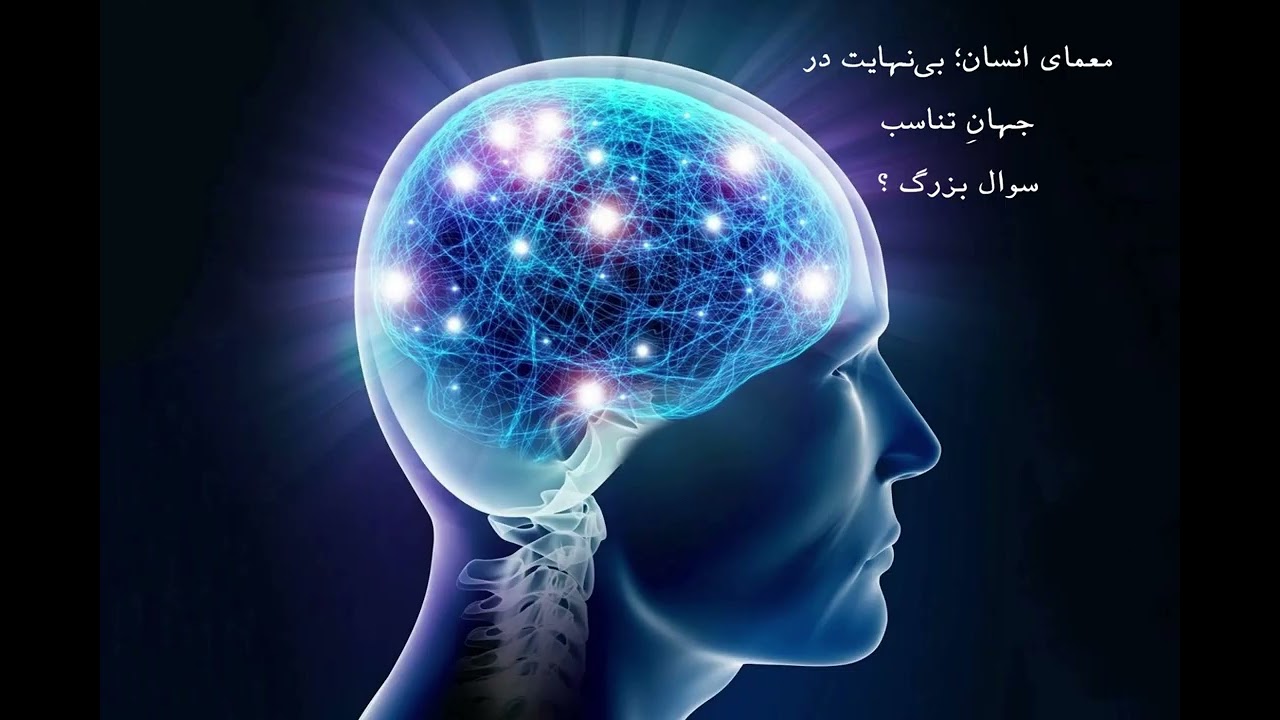۲۸ - معمای انسان؛ بی‌نهایت در جهانِ تناسب
