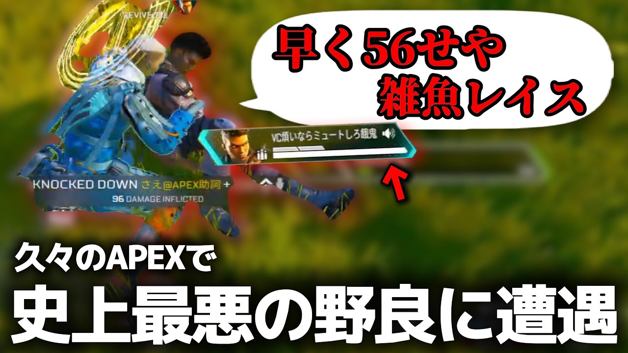 暴言を吐きまくる最悪の野良とマッチングした結果...【APEX LEGENDS】
