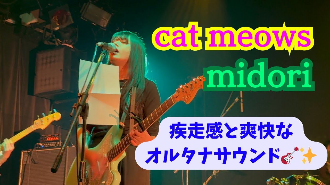 cat meows(新体制) -「midori」(2026.1.25 Total Feedback at 高円寺HIGH, Tokyo, JAPAN) ー 疾走感のあるリズムもオルタナサウンドも爽快✨
