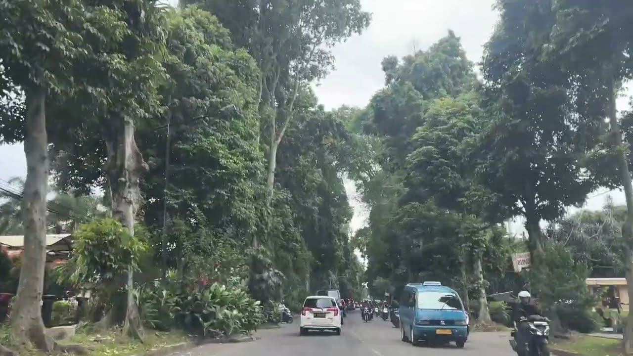 Khasnya jalan Bogor: rindang di setiap sisi🌱