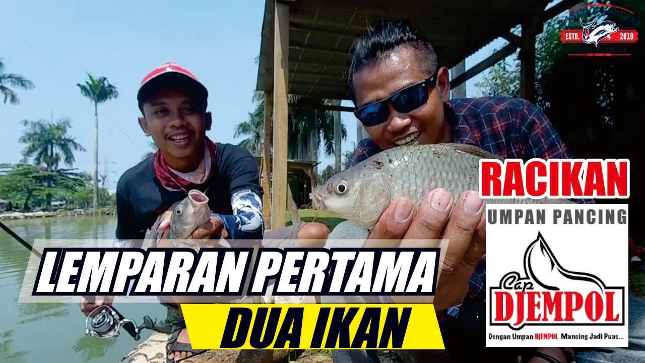 UMPAN IKAN MAS DJEMPOL KROTO VS TANPA KROTO WITH AGUNG SYAKIRUL