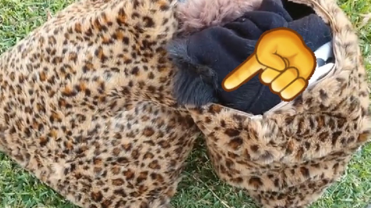 Нашла два леопардовых мешка !А там ... Не свалка,а барахолка.Винтажные,антикварные и новые вещи.