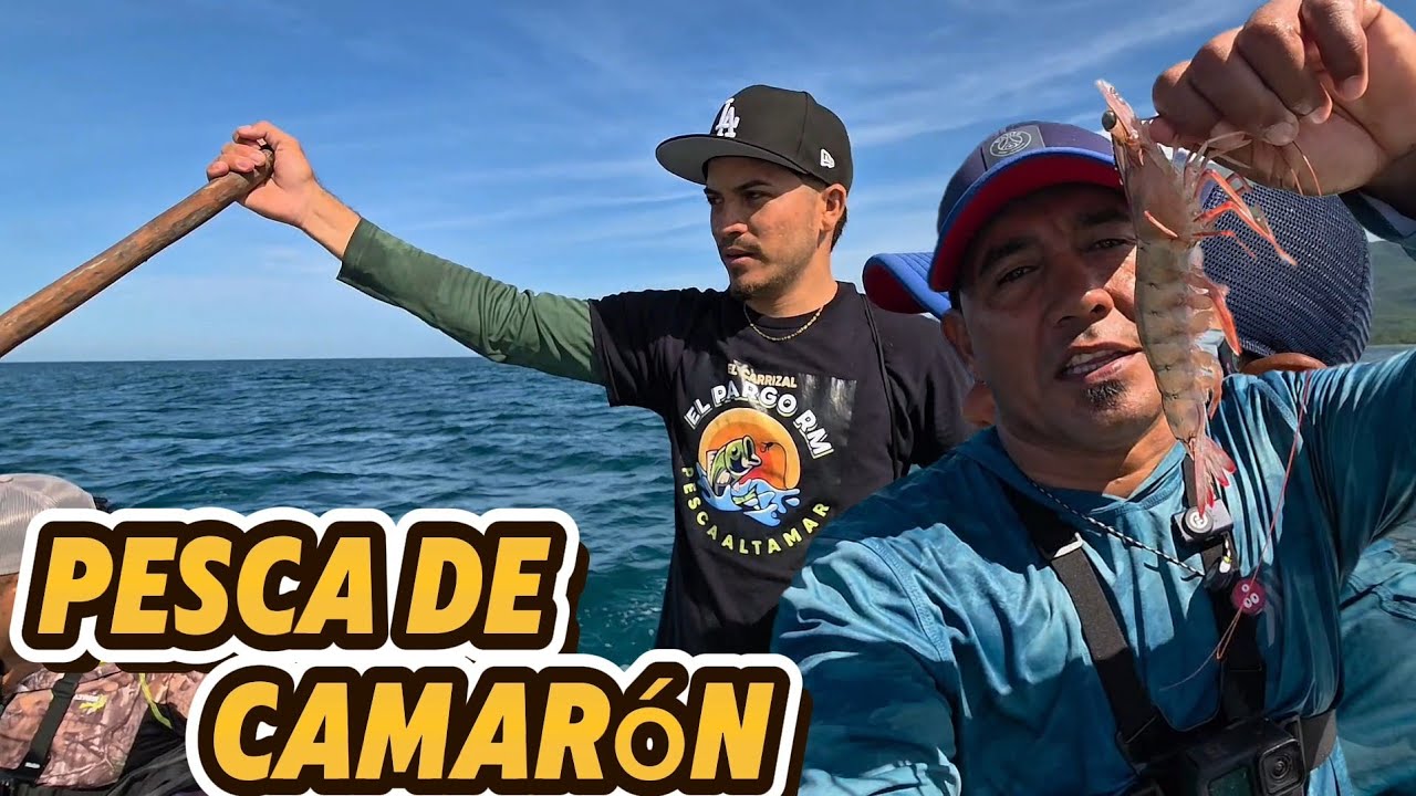 Un día de pesca con los amigos del carrizal pesca de camarón Jumbo @ElvinIsaiasRomero 