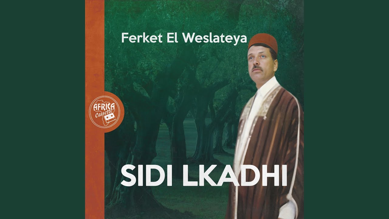 HALI FENI