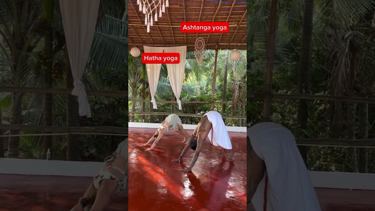 Hatha or Ashtanga: Which Yoga Path Calls You? @goayogashala