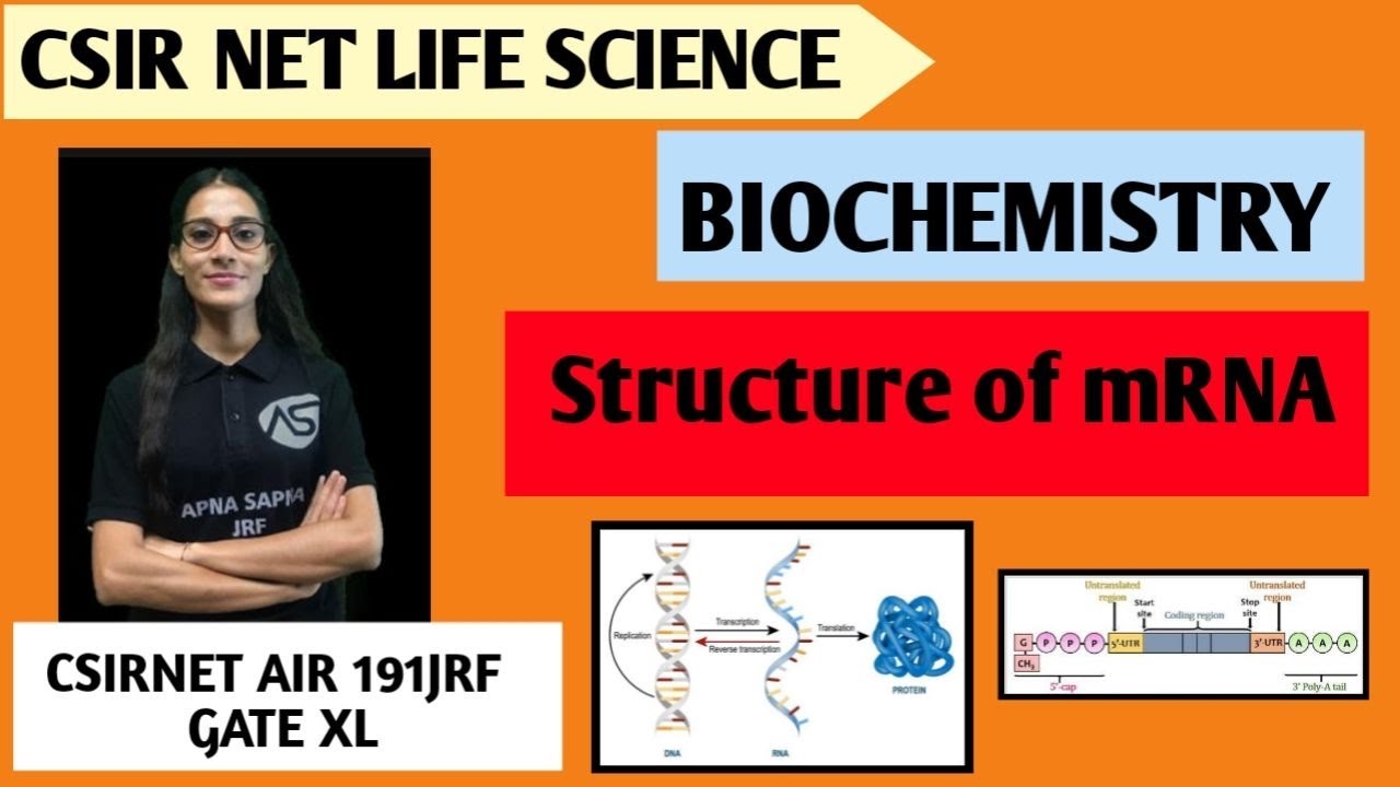 Structure of mRNA || Biochemistry || #apnasapnajrf  #csirnetlifescience