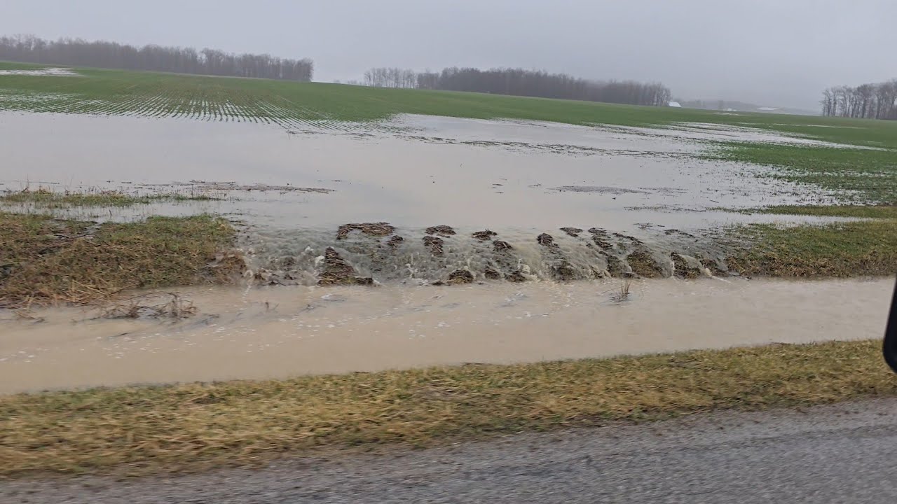 Water Everywhere