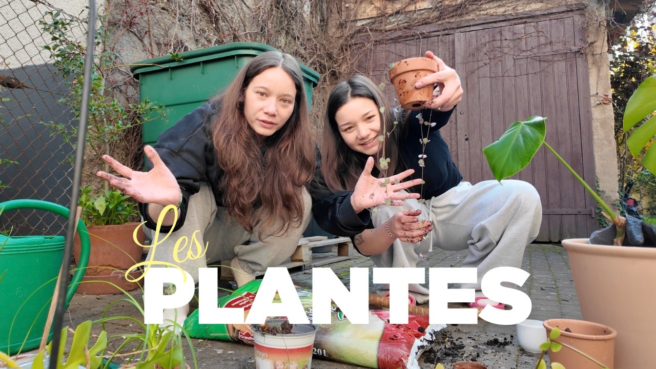 Il &eacute;tait temps de s&rsquo;en occuper : PLANT CARE 🌱💦