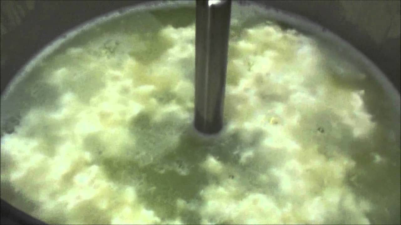 ALL IN PLEVNIK - Making ricotta