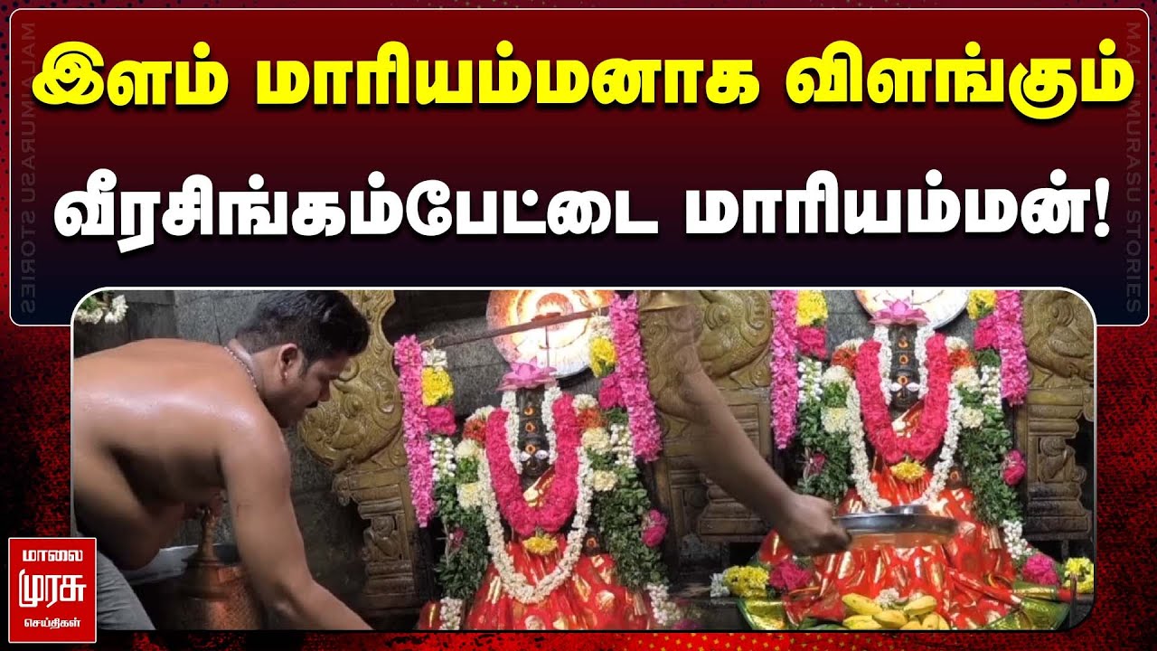 இளம் மாரியம்மனாக விளங்கும் வீரசிங்கம்பேட்டை மாரியம்மன்! | மாலை முரசு செய்திகள்