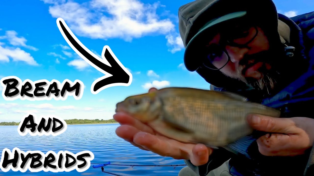 Bream fishing in Ireland, Doon Lough#viral #breamfishing #feederfishing #views #fishing