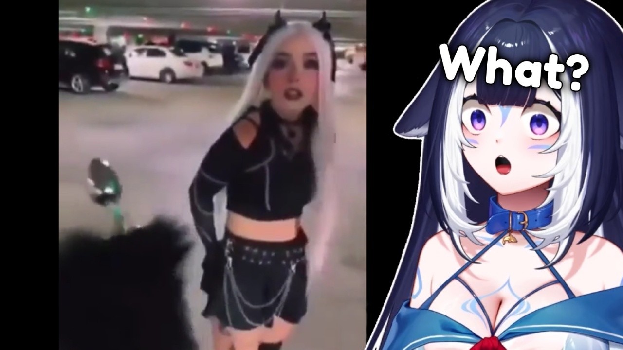 Shylily Watches Memes That Quickly Got Out Of Hand