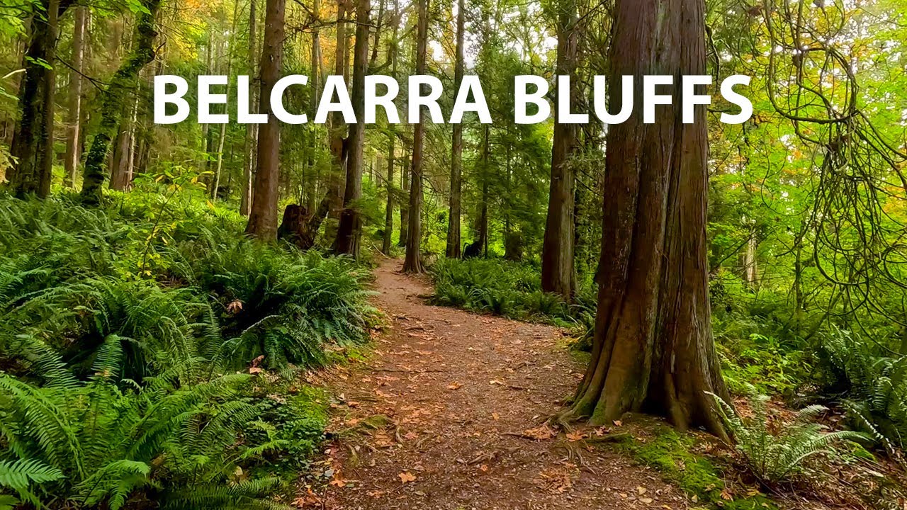 Slow Meditative Autumn Hike to Belcarra Bluffs via Admiralty Point Trail, BC Canada
