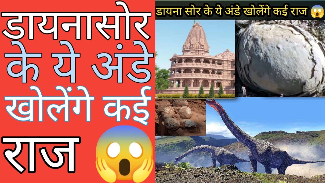 डायनासौर के ये अंडे खोलेंगे कई राज 😱/Ms1fact/