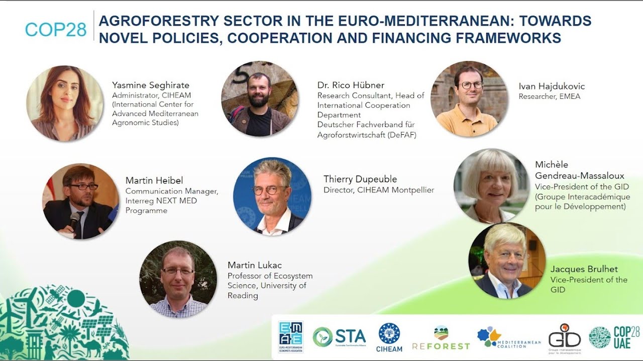 CIHEAM at COP 28  #Agroforestry sector in the Euro-Mediterranean #MediterraneanCoalition