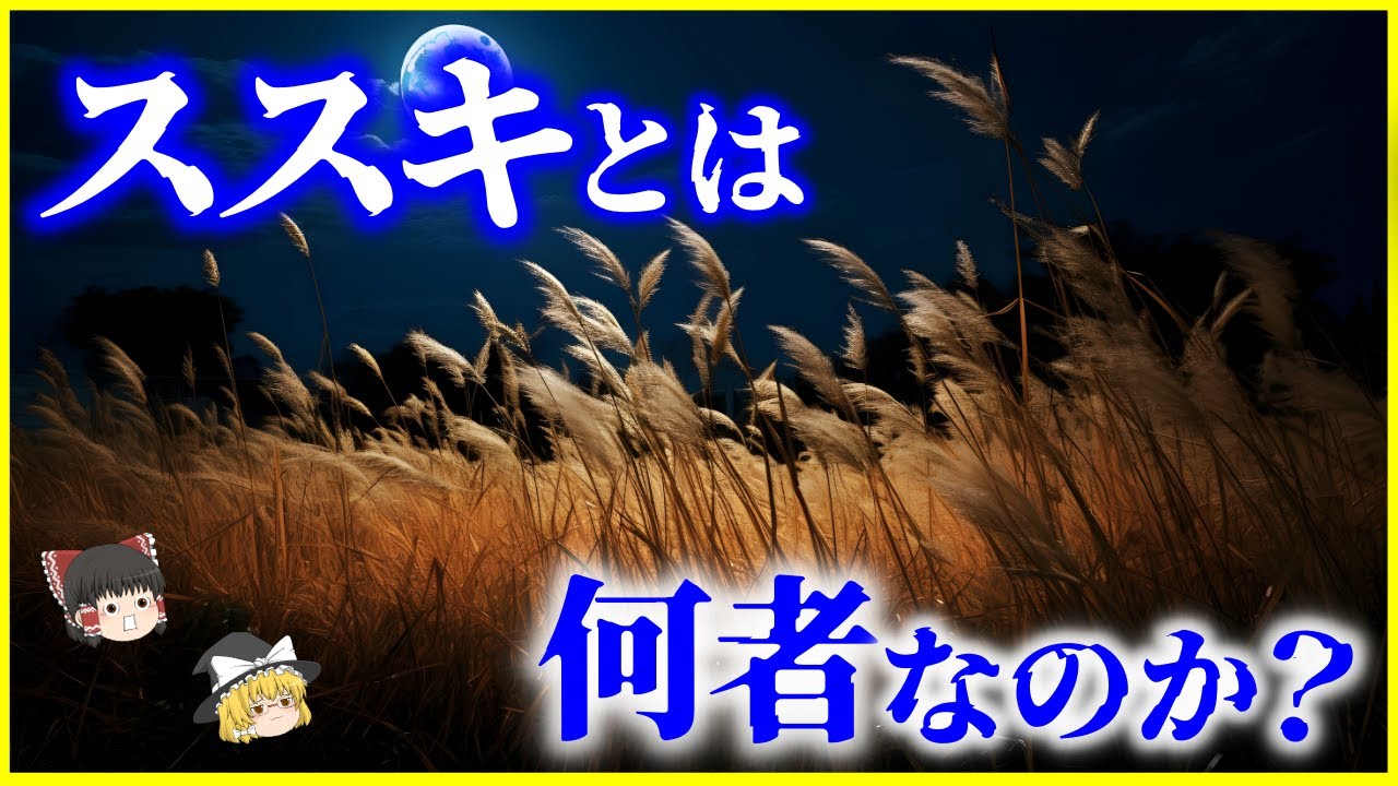 【ゆっくり解説】自然界の日米戦争⁉️北米を侵略中の「ススキ」とは何者なのか？を解説/セイタカアワダチソウとの戦い&hellip;ススキが次世代エネルギー!?