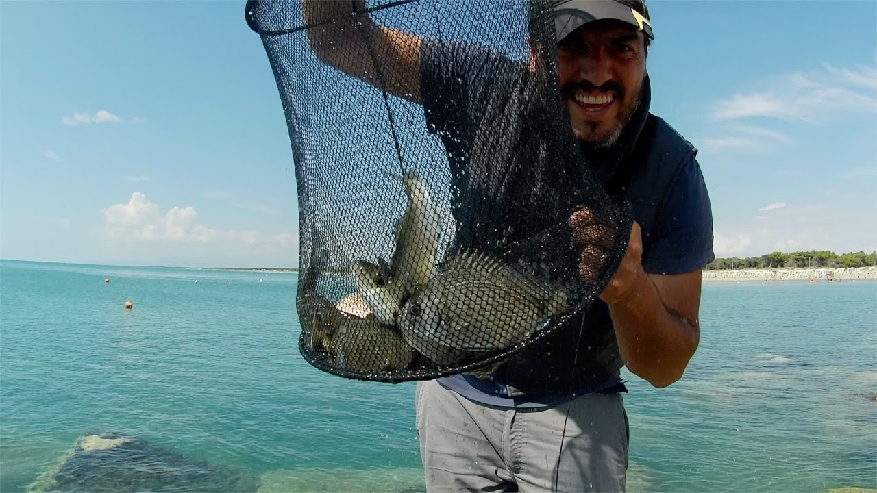 Pesca a Bolognese: saraghi e spigole con DAIWA Tournament AGS
