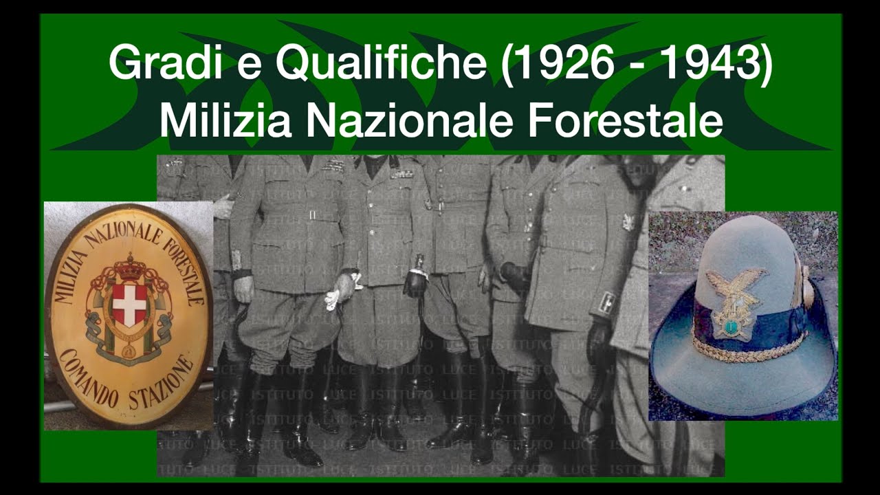 Gradi e Qualifiche Milizia Nazionale Forestale (1926-1943)