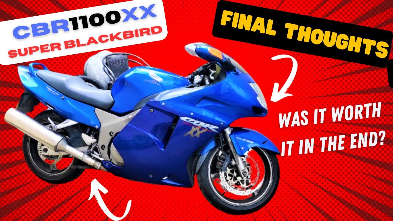 Honda Super Blackbird CBR 1100 XX Review  - Just How Good Are These Bikes For The Money?