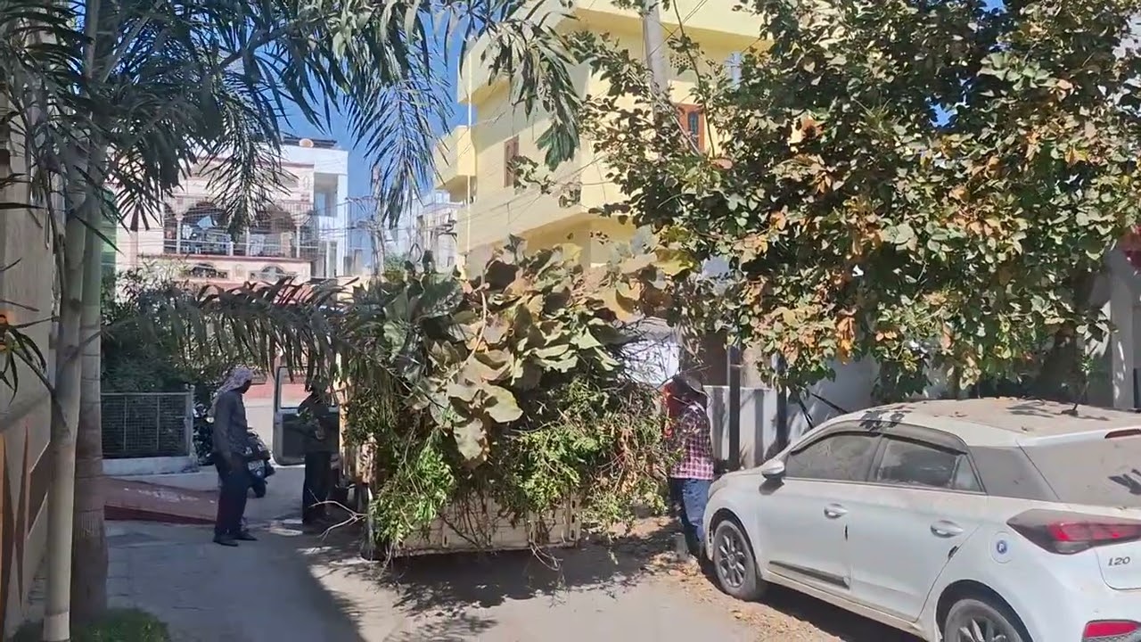 CUTTING TEAK TREE BRANCHES AND TAKING AWAY BY THE TREE CUTTERS AT MY  LITTLE FARM HOME ON 21-02-2026