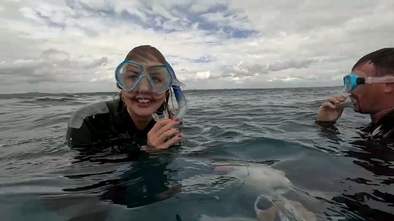 Hervey Bay Dive Centre: Inside the marine oasis | My Way