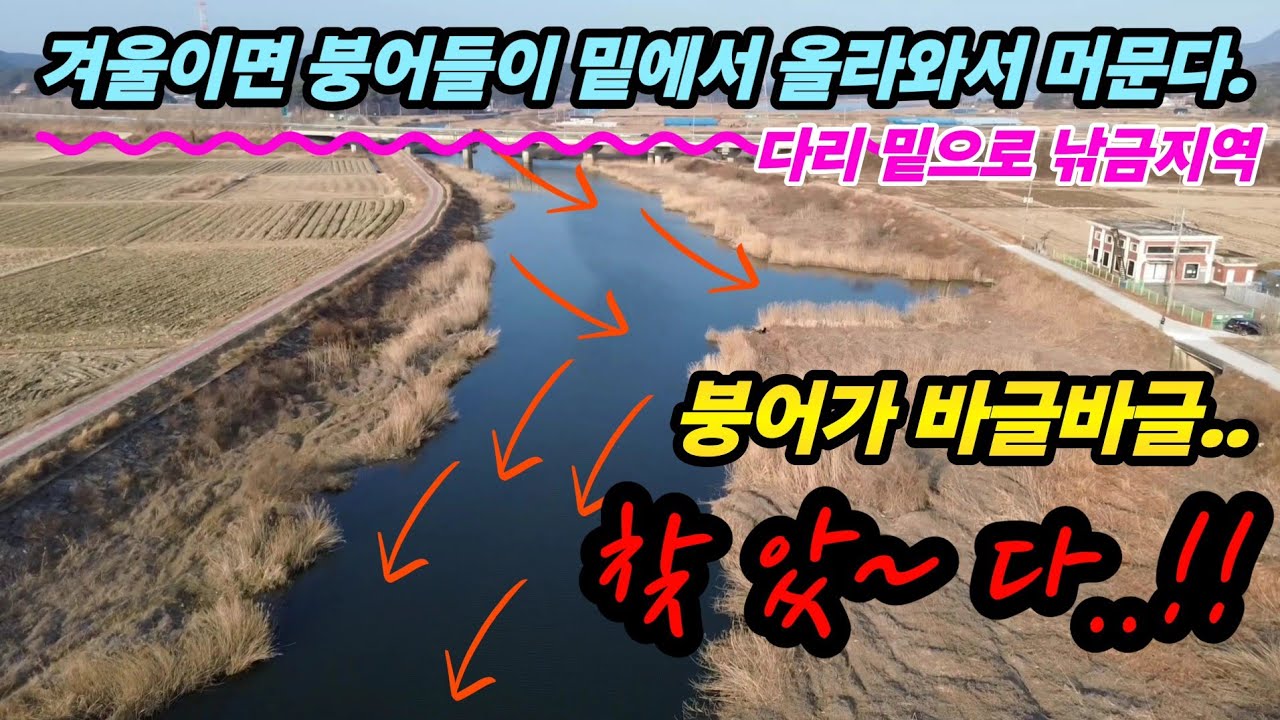 붕어낚시 , 찾았다 