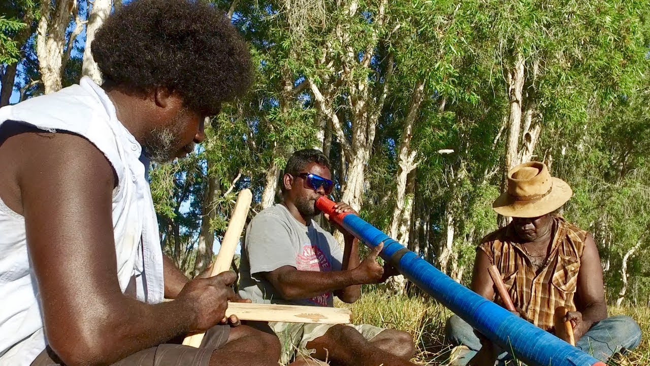 Gurumburra - Silver Gull/Seagull - Nunggarrgalu Songs
