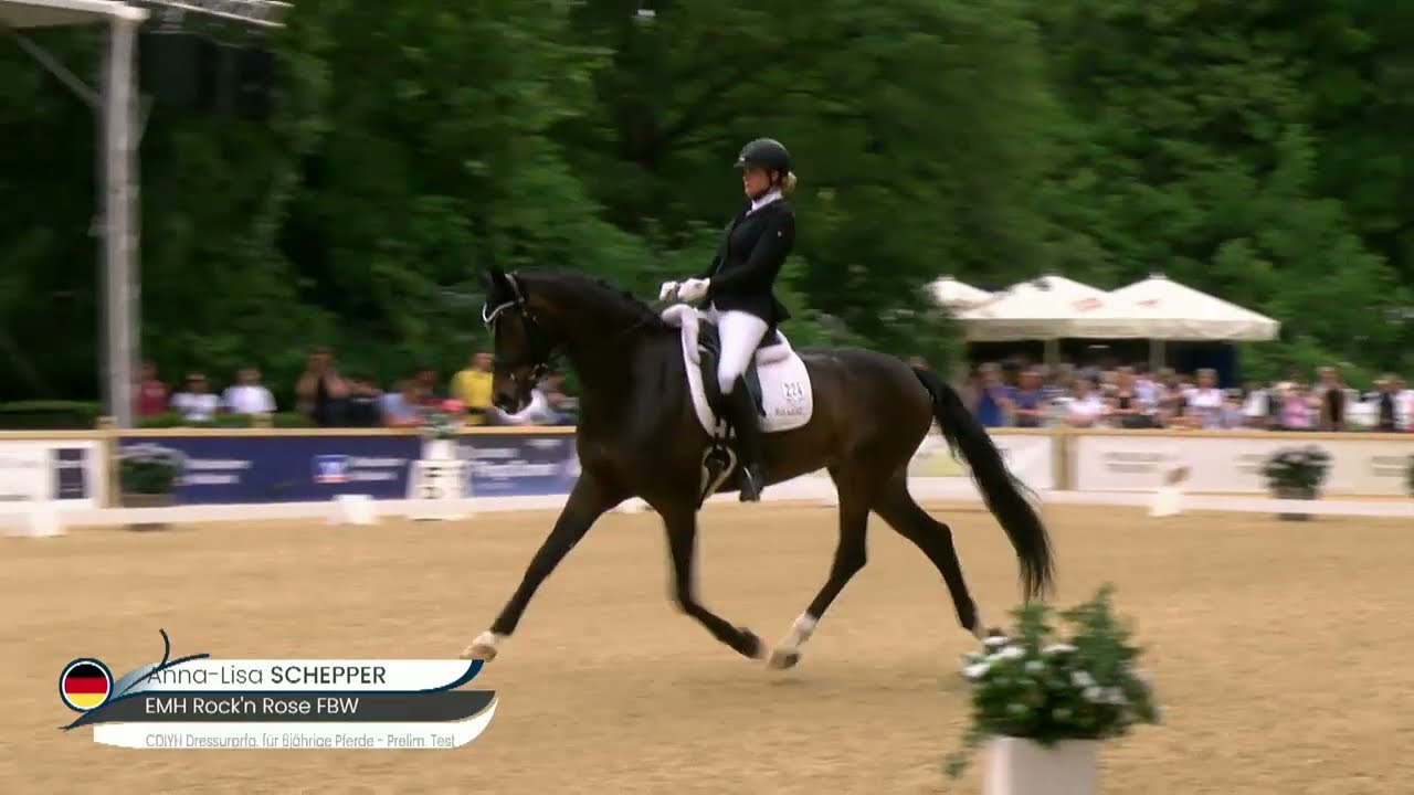 EMH Rock'n Rose FBW    FEI Preliminary Test for 6-year old horses