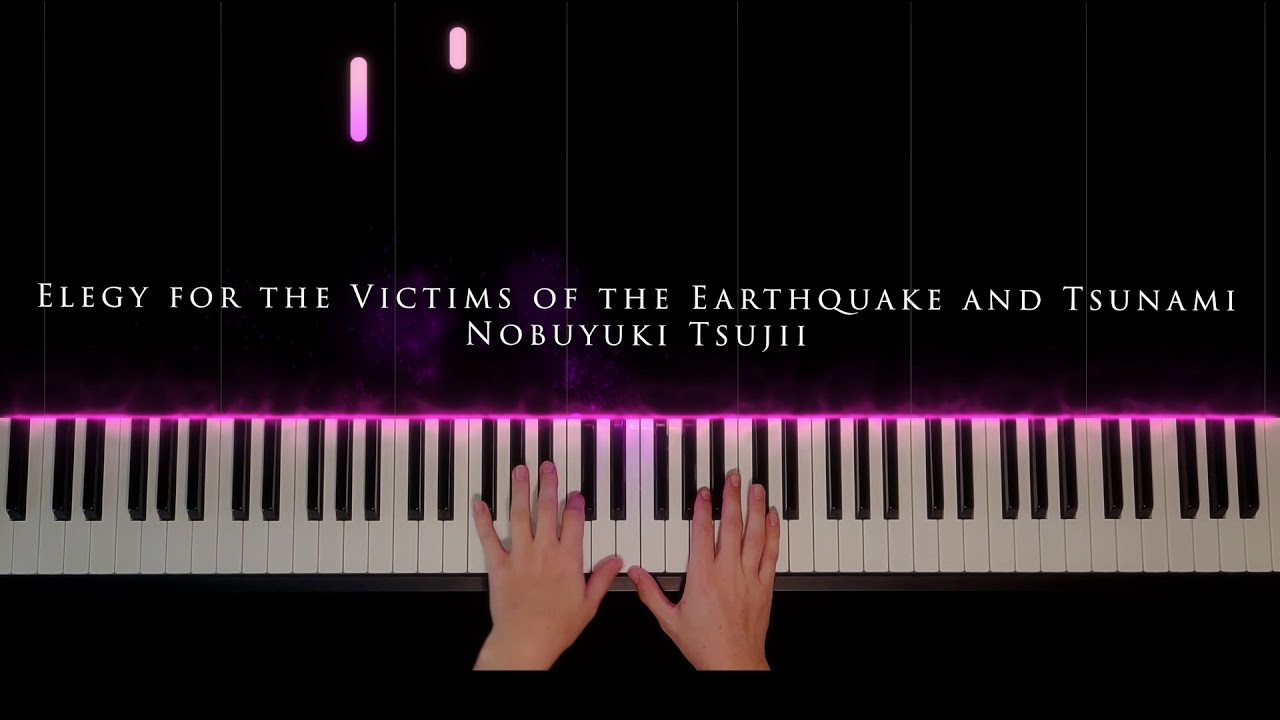 Nobuyuki Tsujii - Elegy for the victims of the Earthquake and Tsunami - piano visualizer