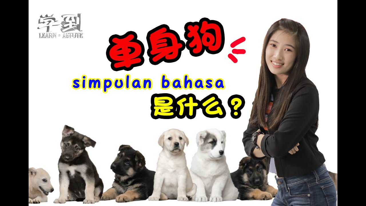 Simpulan Bahasa【学到】| 单身狗的simpulan bahasa是什么？关于Anak 的 SB | ANGELIA