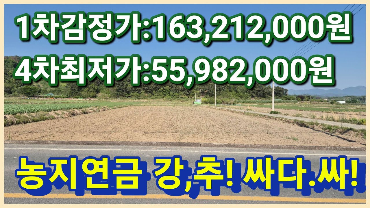 (낙찰)청도군 이서면 1억6천만원대가 5천만원대로 법원경매 진행중인 청도싼땅 농지연금으로 어떨까요