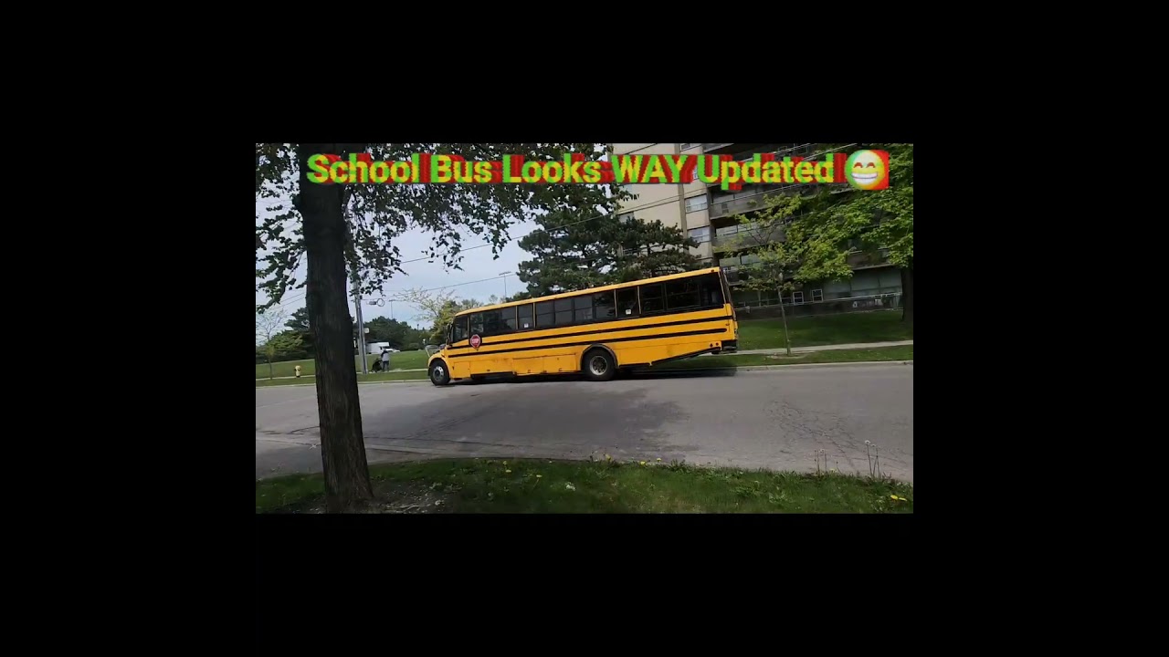 A Different School Bus 