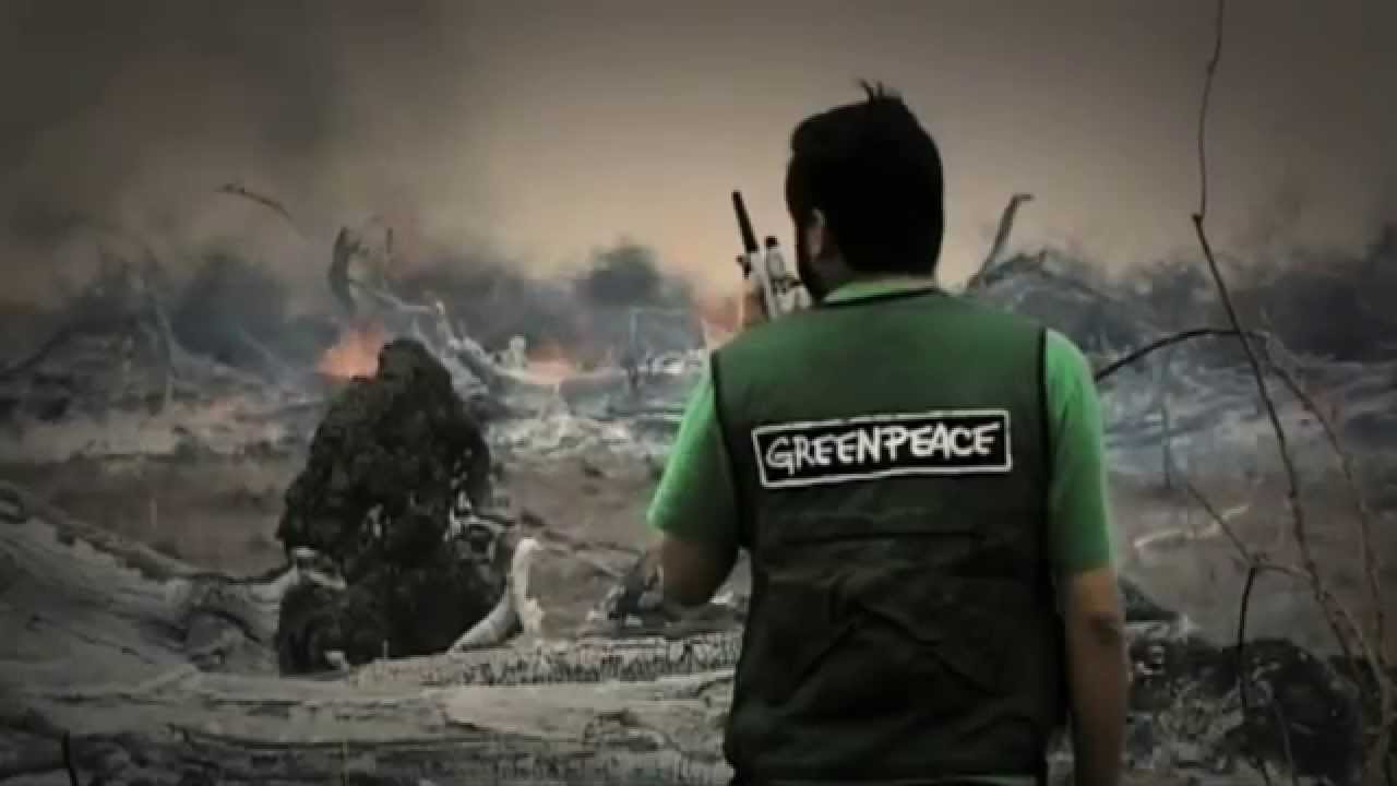Greenpeace en Acci&oacute;n