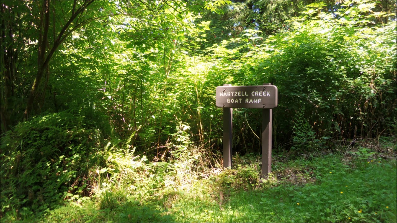 Queets Valley