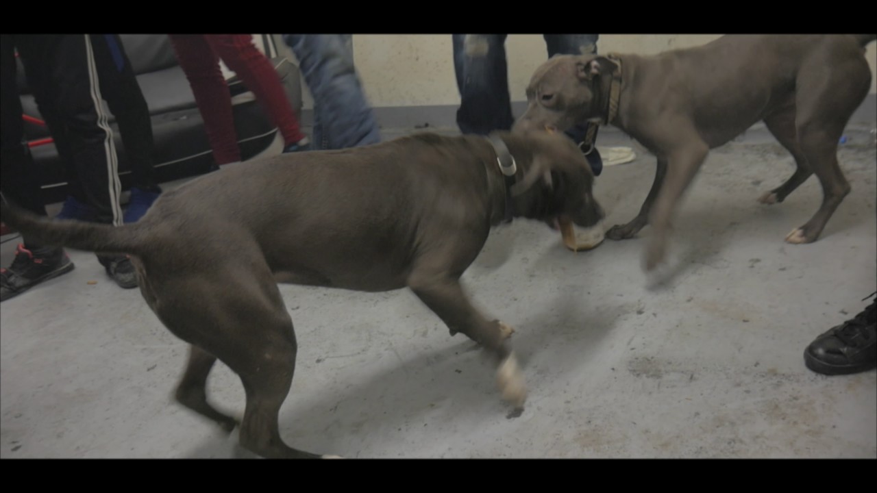 50k - Millions de Dollars (Clip Officiel)