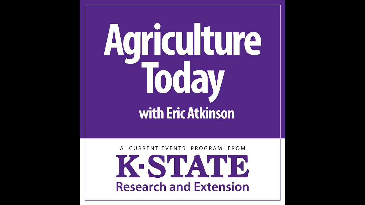 Patch Burning…Mineral Nutrition Management for Cattle on Grass