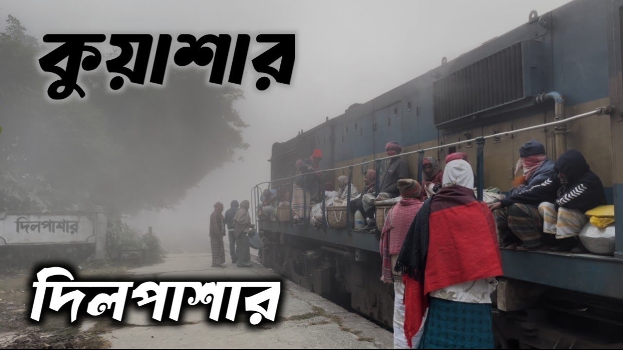 কুয়াশার চাদরে মোড়া দিলপাশার রেল স্টেশন | শীতের সকালে নীরব রেল আর নরম দৃশ্যের গল্প || ভ্রমন-২০২৬
