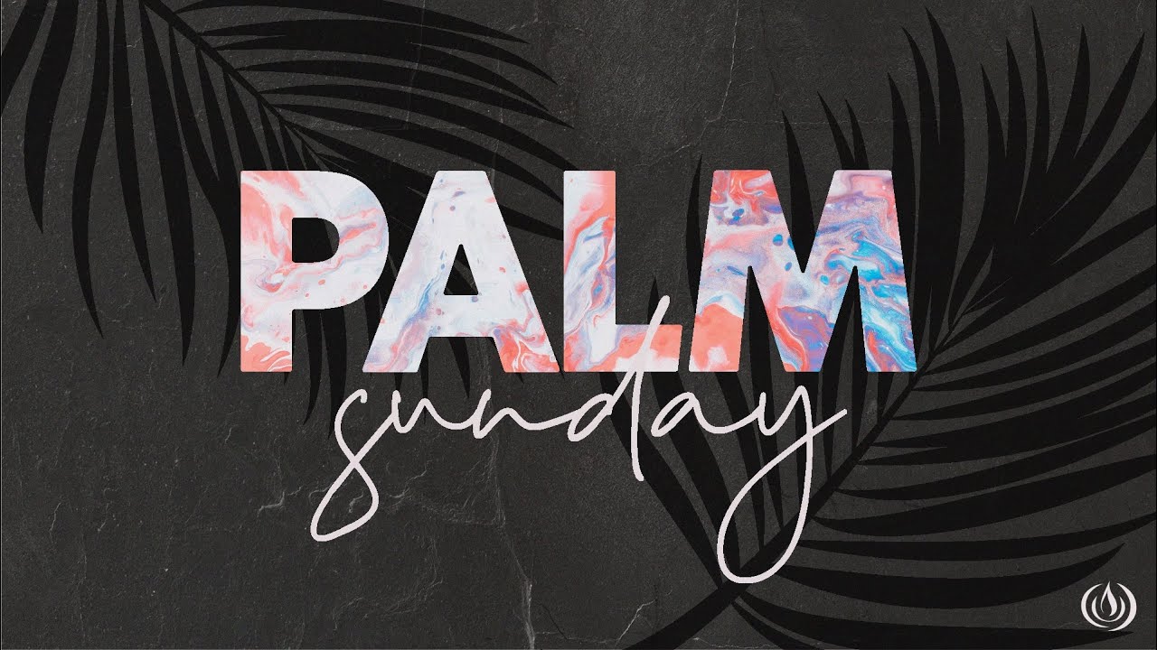 Signs, Wonders, Miracles & Revival | Ps John Scholtz | 24 March 2024