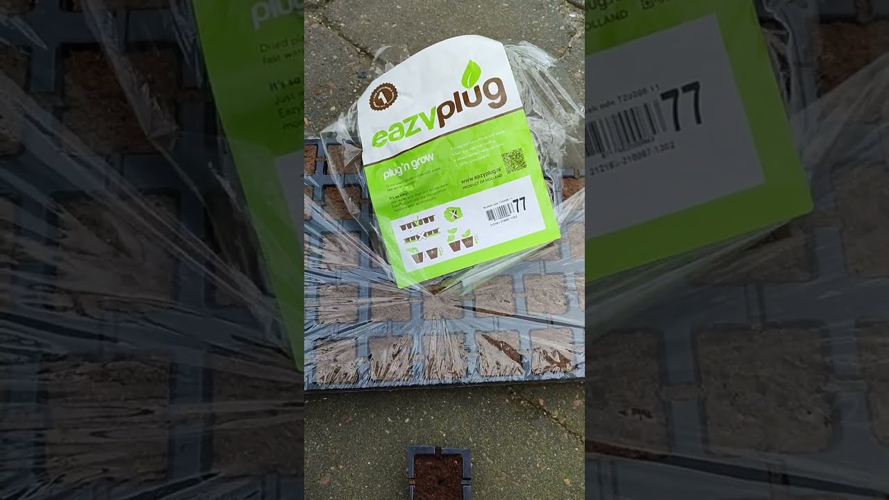 So l&auml;sst ihr eure Cannabis Samen mit easy plug richtig keimen! Outdoor Grow 2024 Deutschland