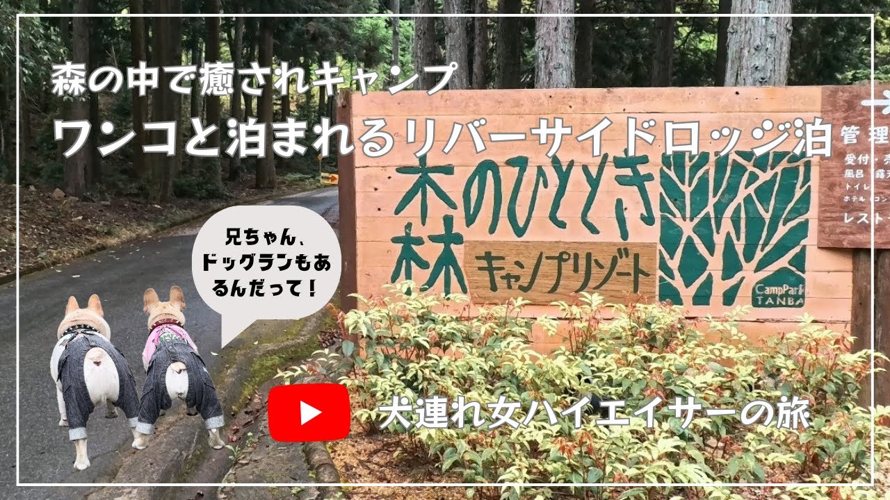 キャンプリゾート森のひととき/リバーサイドロッジ泊/ 森の中で癒されキャンプ/ 2024-04-26