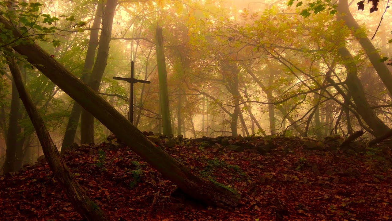 Morgenspaziergang im nebeligen Herbstwald - Naturgeräusche  zum einschlafen relaxen meditation ASMR